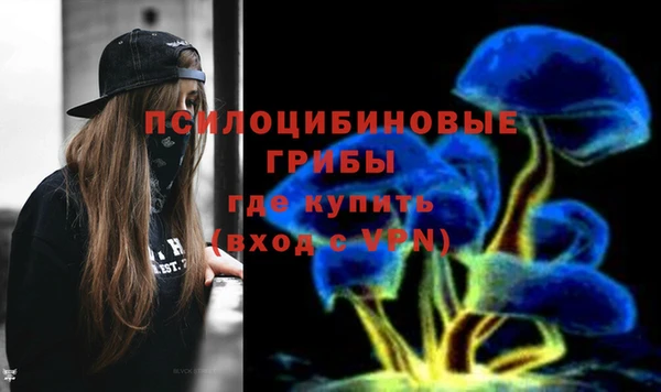 прущие крисы Осинники