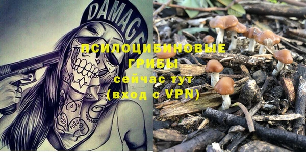 прущая мука Абдулино
