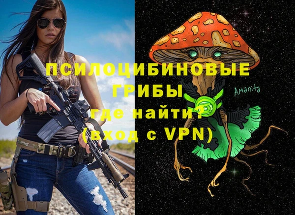 кокс Осташков