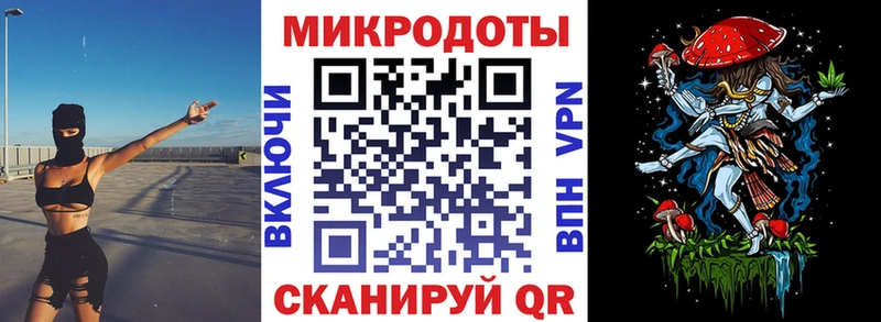 Галлюциногенные грибы Psilocybe Бирюсинск